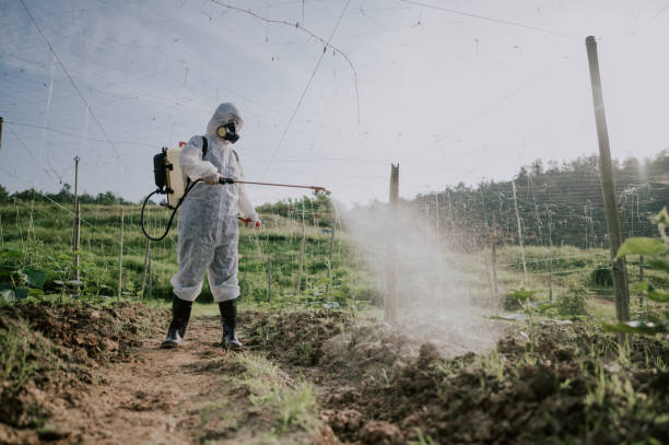 Best Best Pest Control Companies  in Laurel, MT