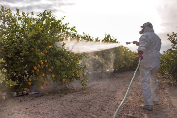 Best Pest Inspection Near Me  in Laurel, MT