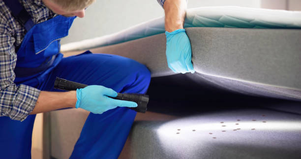 Reliable Laurel, MT Pest Control Solutions