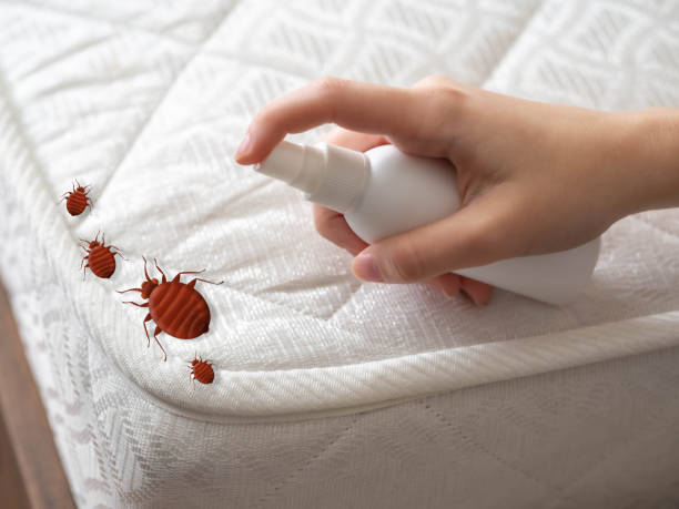 Best Emergency Pest Control  in Laurel, MT