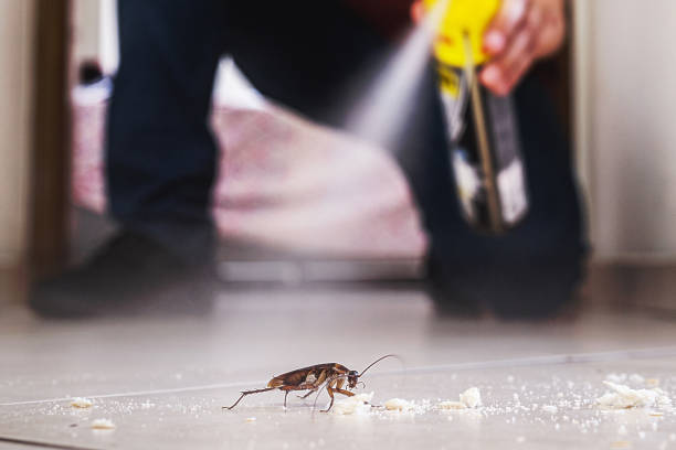 Professional Pest Control in Laurel, MT