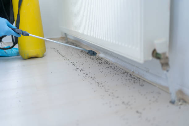Best Affordable Pest Control Services  in Laurel, MT